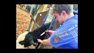 FFA student receives $1,000 grant