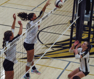 Lady Golden Tigers’ volleyball team adds 4 wins during hot streak