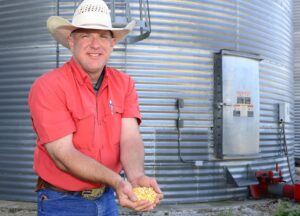 Spring rains delay gathering of crops