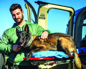 EMS train for K-9 emergency treatment