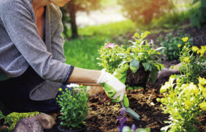 Red Bay community garden prepares for second season