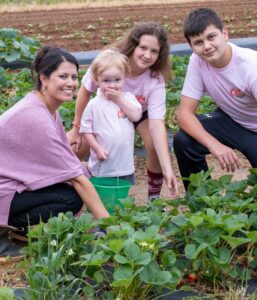 Picking strawberries, making memories